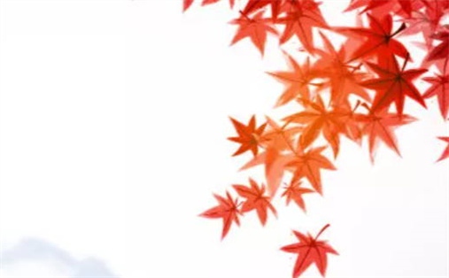 今天万年历2027年06月25日启程吉日,出行好日子查询