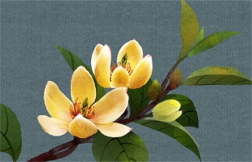 今天农历二〇二七年二月初九黄历旅行不适宜吗,出行吉日