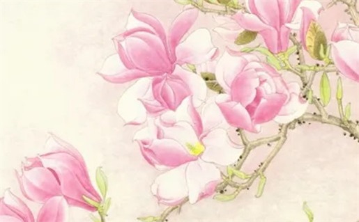 农历二〇二七年七月廿三黄历不推荐旅游吗,出行好日子有哪些