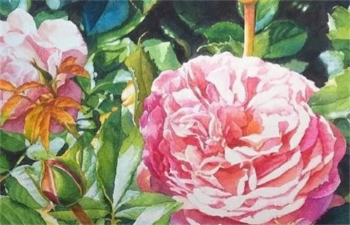 今日2026年08月05日旅游老黄历不推荐吗,农历二〇二六年六月廿三出行日子