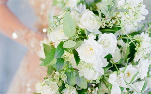 1996年是什么命年详细解析及生肖运势解读