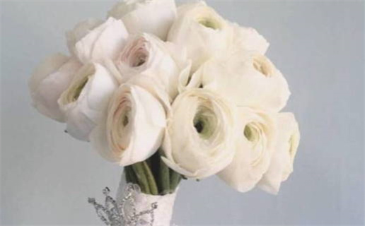 69年出生的鸡是什么命(1969年出生的鸡是什么命)