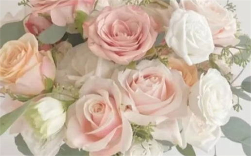 1955年08月22日出生的人的性格命运(1955年8月22日是什么星座)