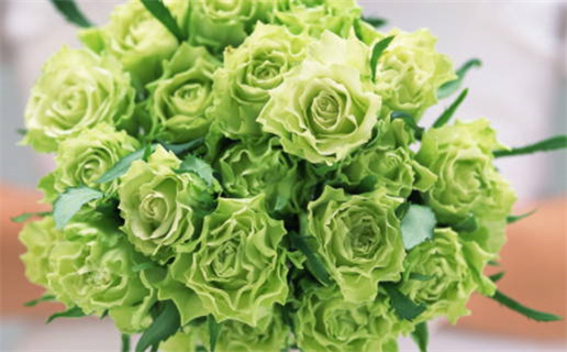 女命走劫财运表示什么_女命走劫财运表示什么意思