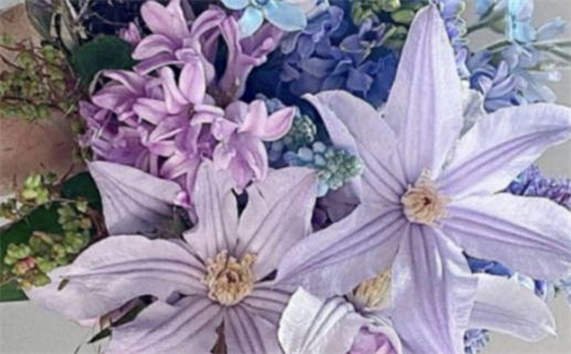 属鼠与属兔人婚配如何起名(属鼠与属兔人婚配如何起名字)