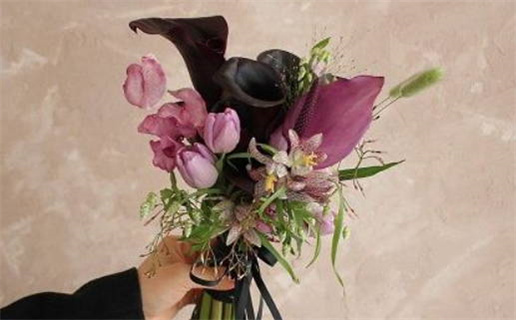 2004属猴是什么命_2004属猴是什么命金木水火土