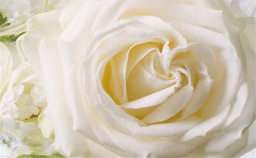 1985年是什么命五行属什么_1985年是什么命五行属什么命