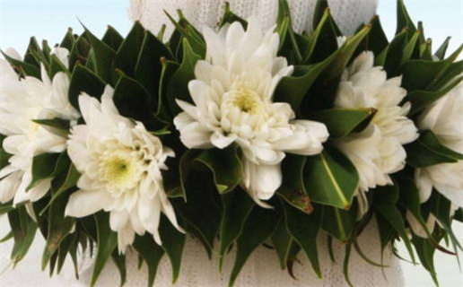 2019年什么年什么命_2019年什么命年什么命