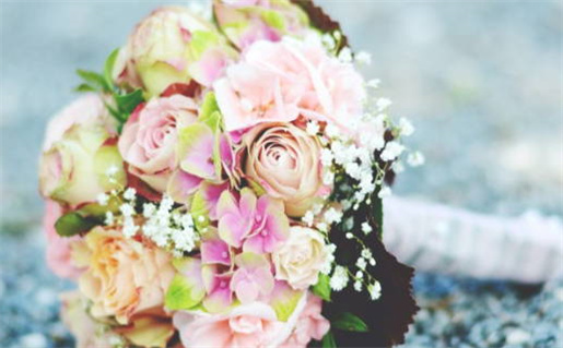 1991的羊是什么命(1991的羊是什么命 五行属什么)