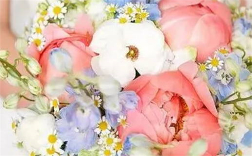 一命二运三风水什么意思_一命二运三风水什么意思?