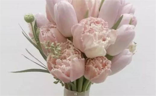 阴历九月十一命运解析与性格特点分析