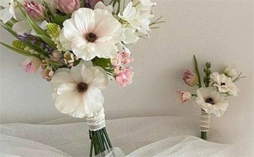 生肖鼠与十二生肖合作伙伴(12生肖与鼠相合的属相)