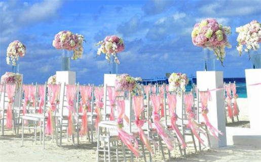 属虎与属鼠的婚姻是否合适解析与建议