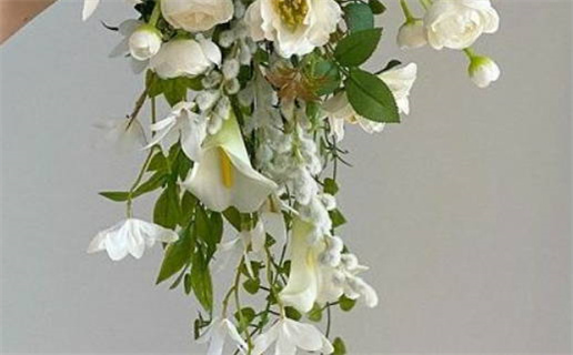 2002年马的命运解析与性格特点详解