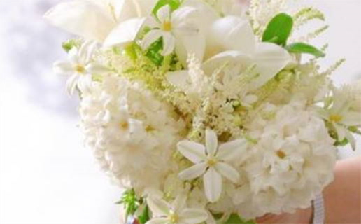 96年属鼠是什么命_1996年属鼠是什么命