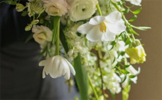 汽车牌号吉凶查询帮助你选出幸运车牌数字