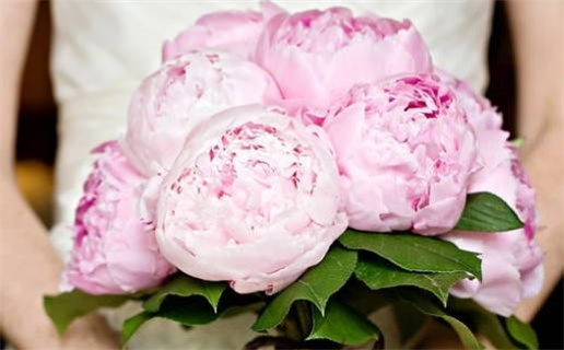 观音神课第23卦解签详解与周易占卜分析