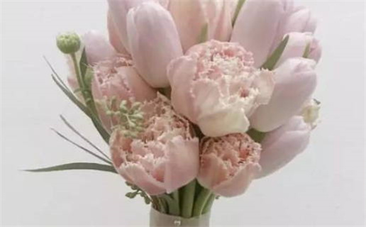 1981年9月15日什么命(1981年9月15日是什么命)