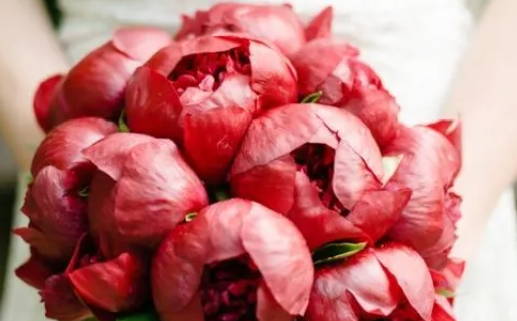 自己命格解析方法简单易学的指南