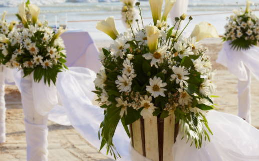 16年黄道吉日查询(16年黄道吉日查询)