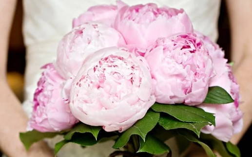 1933年08月04日出生的人的性格命运(1933年8月4日农历)