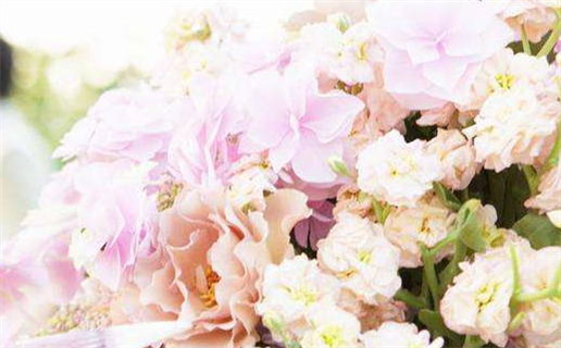 女生男命是什么意思啊_女生男命啥意思