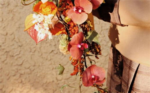 女命主寿的深意与影响解析