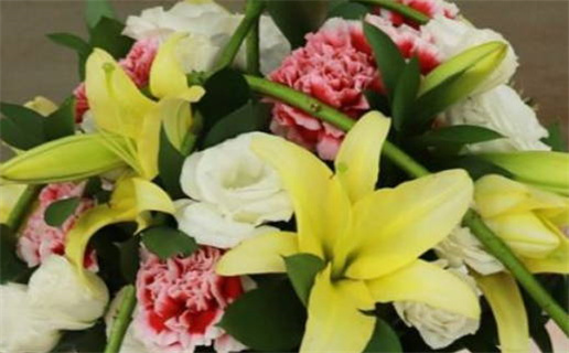 什么样的人算半命人_什么样的人算半命人呢