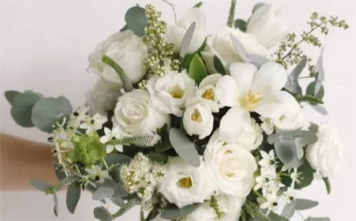 银雪冰名字寓意解析以及取名推荐