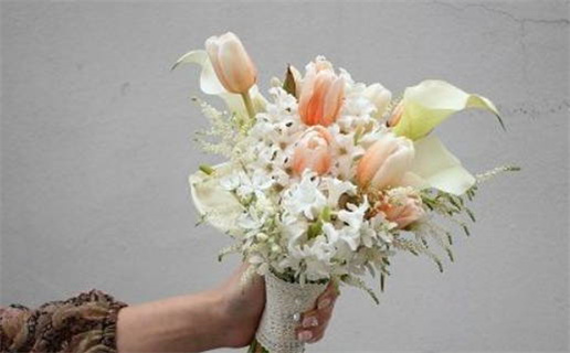 2018年狗狗命运分析与性格解读揭秘