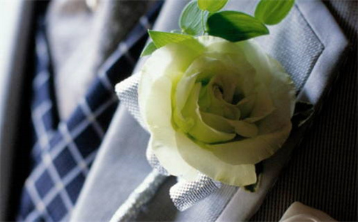 1997年出生是什么命_属牛的人1997年出生是什么命