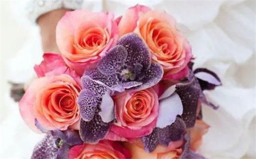 杨柳木命五行缺什么(杨柳木命五行缺什么怎么看)