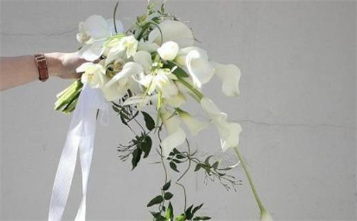 黄道吉日动土选择指南助你找到最佳搬家时机