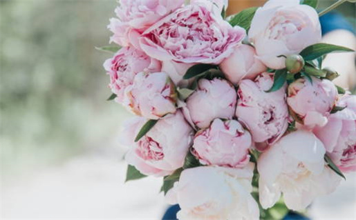 911黄道吉日查询_911黄道吉日查询百度