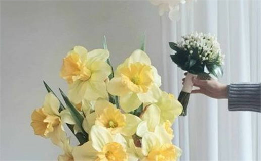 生肖虎与生肖鼠谁更强大深度解析两者特点