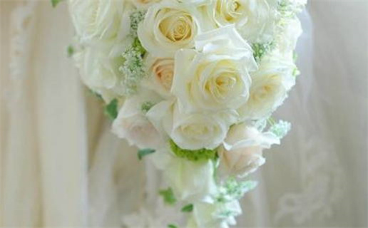 养不活花的人是什么命_养不活花的人是什么命格