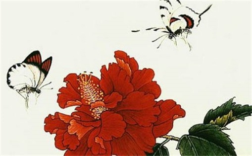 生肖鼠可以用懿吗(属鼠可以用奕字吗)