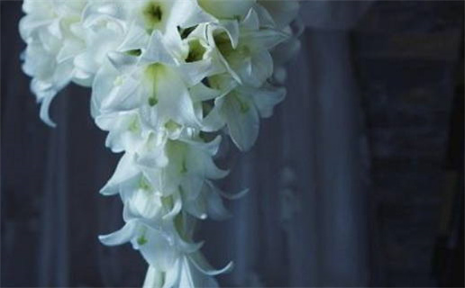 1994年属狗是什么命 和什么婚配(1994年属狗是什么命 和什么婚配好)