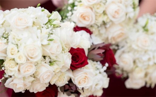 2019年属什么命解析及其影响因素详解