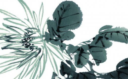 2016猴子是什么命(2016年的猴子是什么命运)