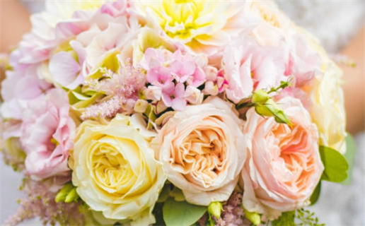 属鸡人的一生命运解析与发展建议