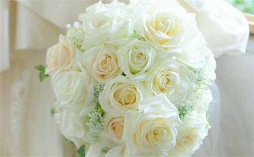 东四命与西四命的区别与解析