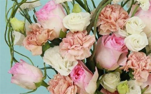 命带观音的深意与人生启示解析