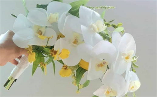 属鼠不宜用的比划(属鼠不能用的字)