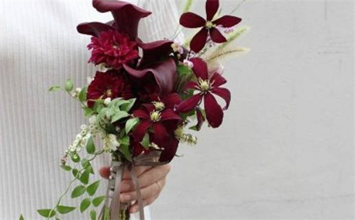 安乐之命是什么意思(安乐之命是什么意思?)