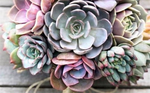 71年五行属什么命(1971年五行属什么命)