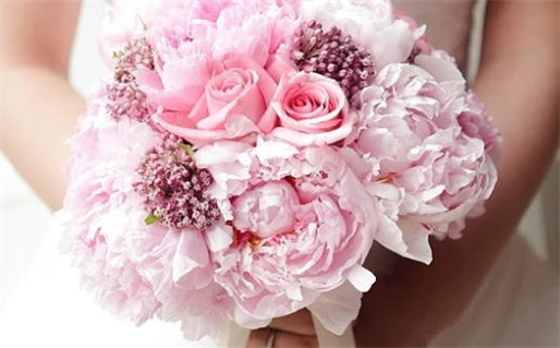 1987年属兔命理解析个性与运势详解