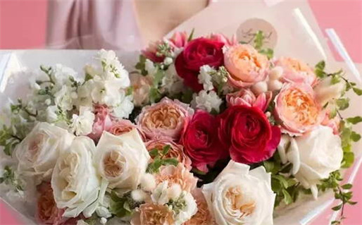 九条命的猫是什么品种_九条命的猫是什么品种的猫