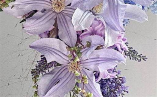 梦见棉被(梦见棉被是什么意思)