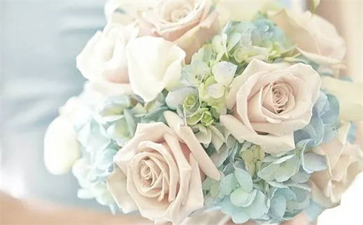 哪个网站算命准_哪个网站算命准确率最高